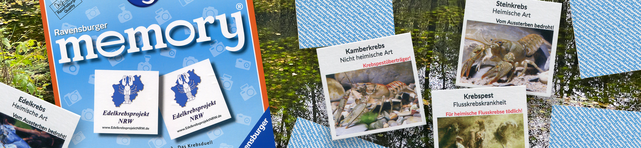 Bilder vom Memory